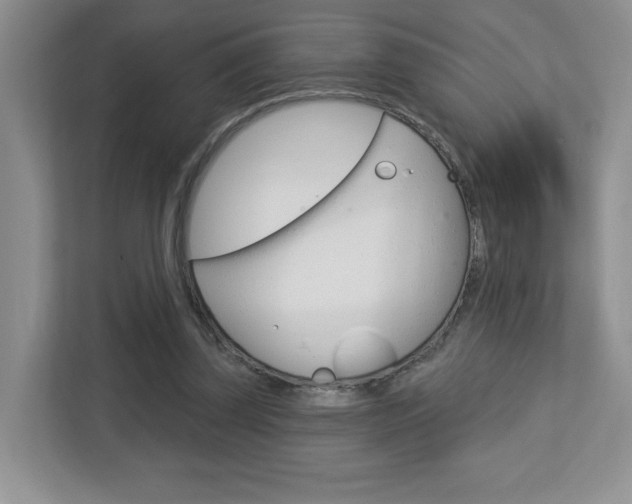 X0000112760347200908201038