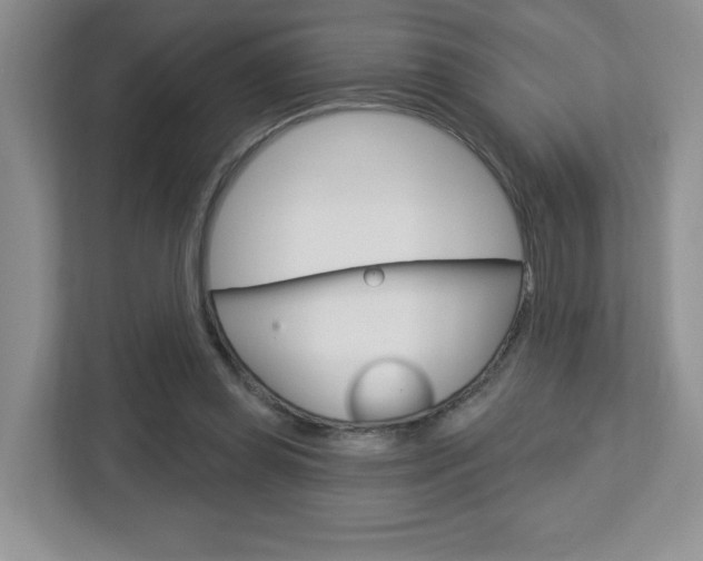 X0000112760349200908201038