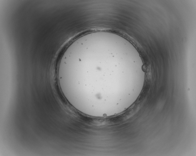 X0000112760351200908201038