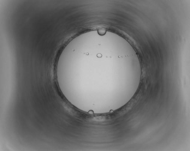 X0000112760353200908201038