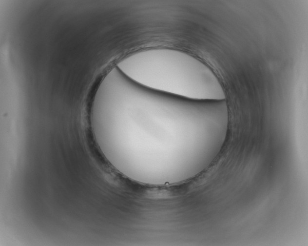 X0000112760354200908201038