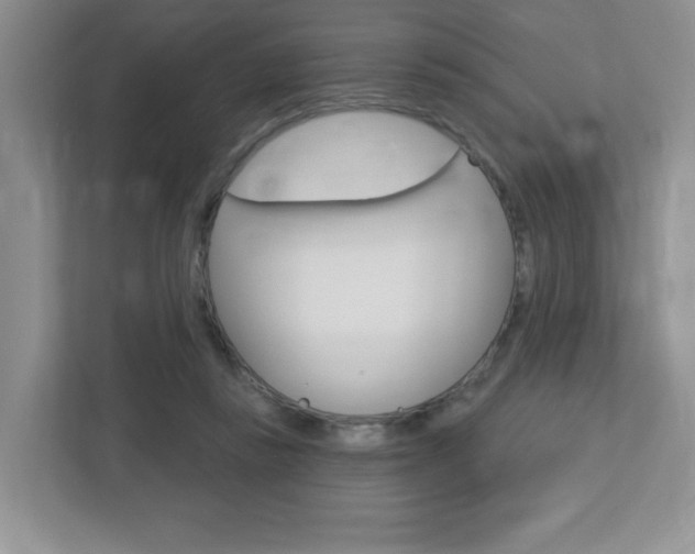 X0000112760355200908201038