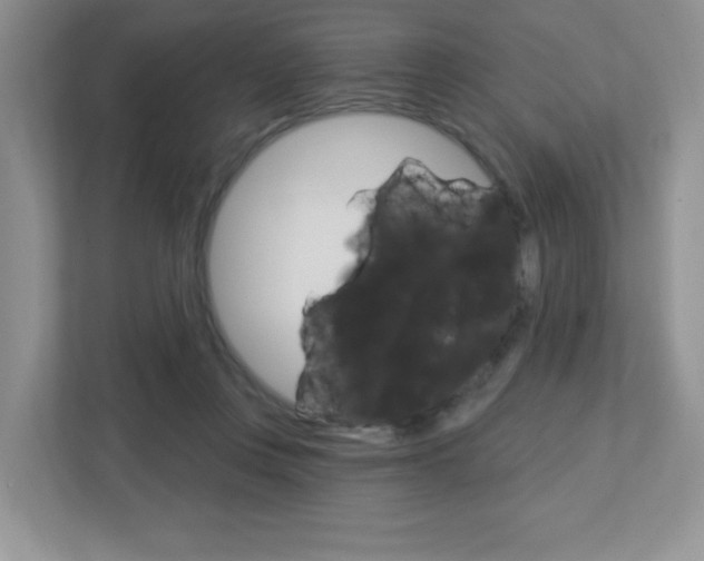 X0000112760359200908201038