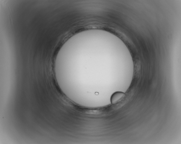 X0000112760361200908201038