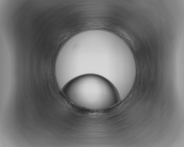 X0000112760362200908201038