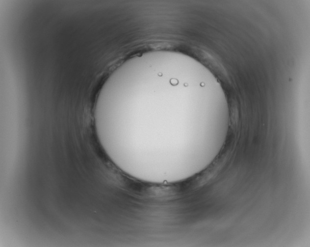 X0000112760367200908201038