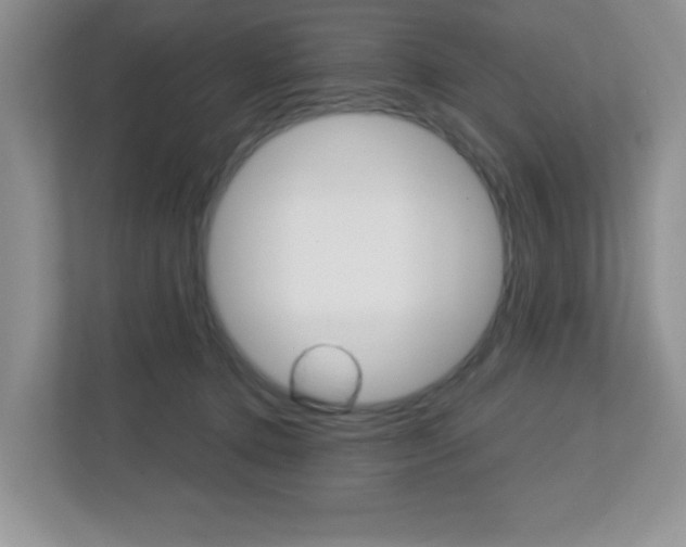 X0000112760368200908201038