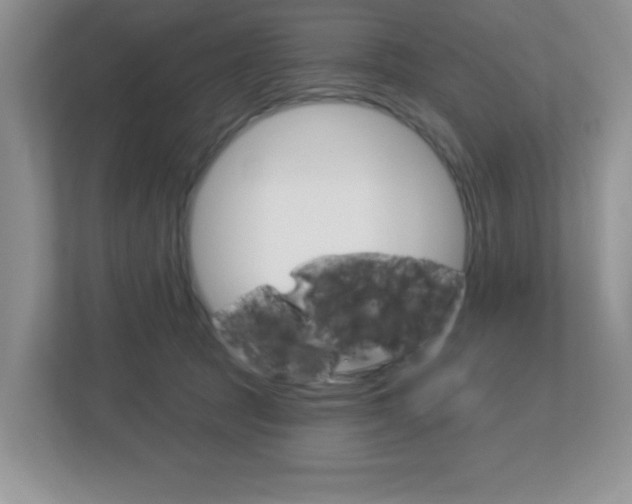 X0000112760369200908201038