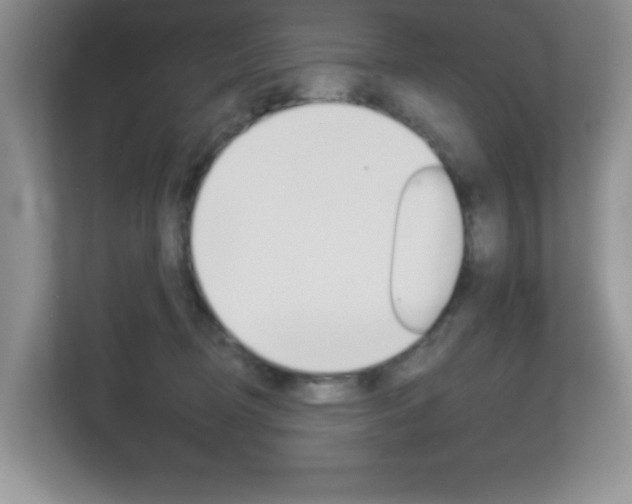 X0000112760370200908201038