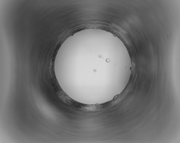 X0000112760381200908201038