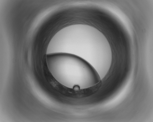 X0000112760382200908201038
