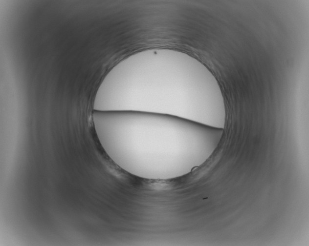 X0000112760383200908201038