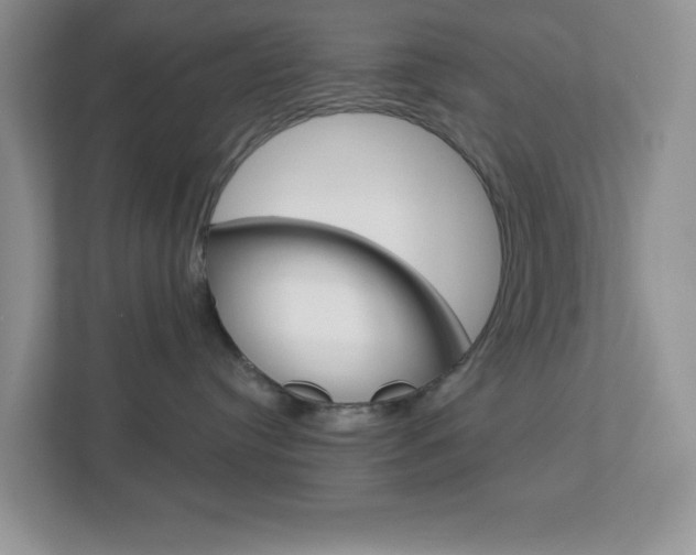 X0000112760384200908201038