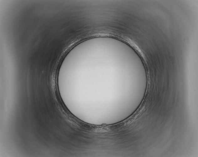 X0000112760386200908201038