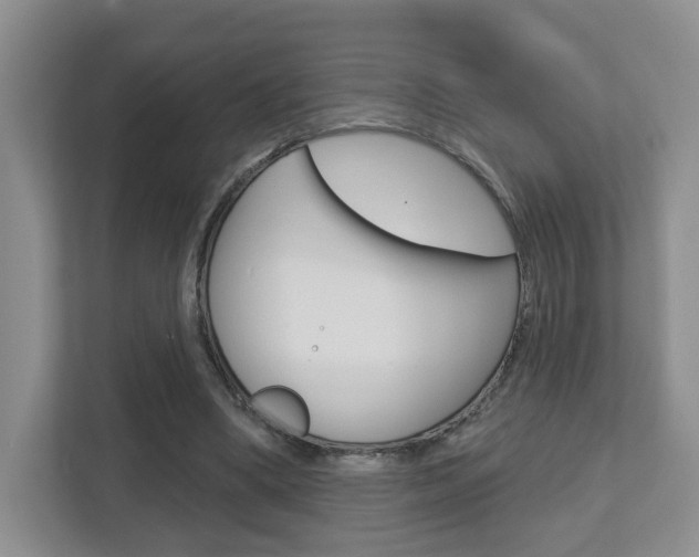 X0000112760394200908201038