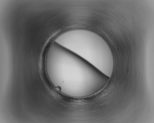 X0000112760396200908201038