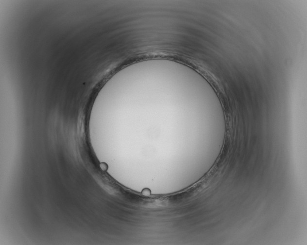 X0000112760398200908201038