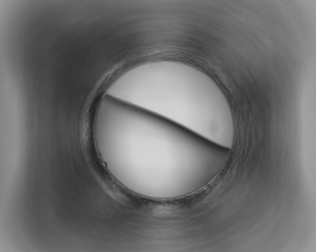 X0000112760400200908201037