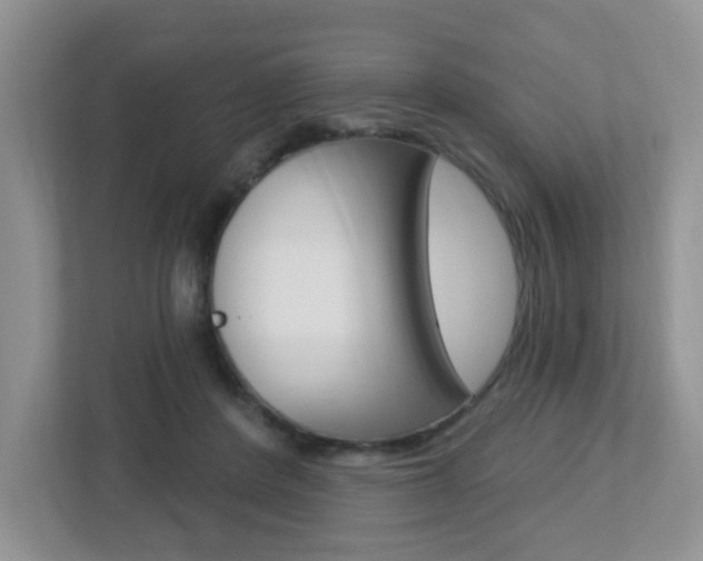 X0000112760408200908201037