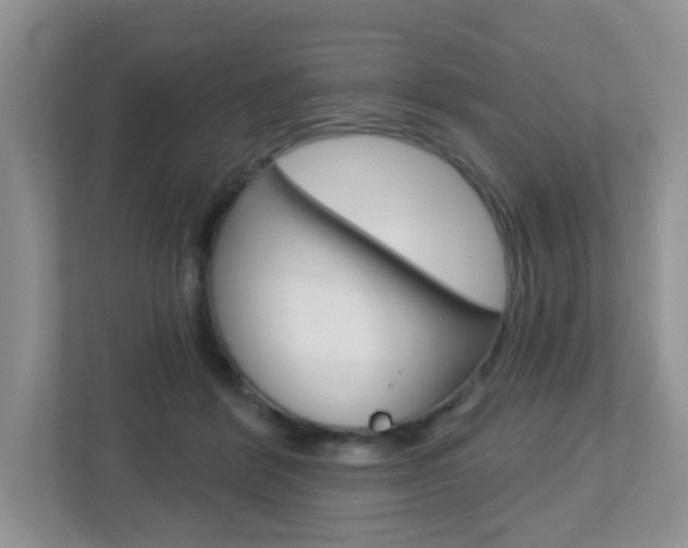 X0000112760412200908201037