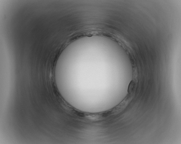 X0000112760417200908201037