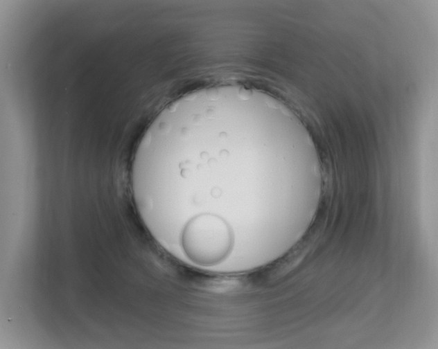 X0000112760418200908201037