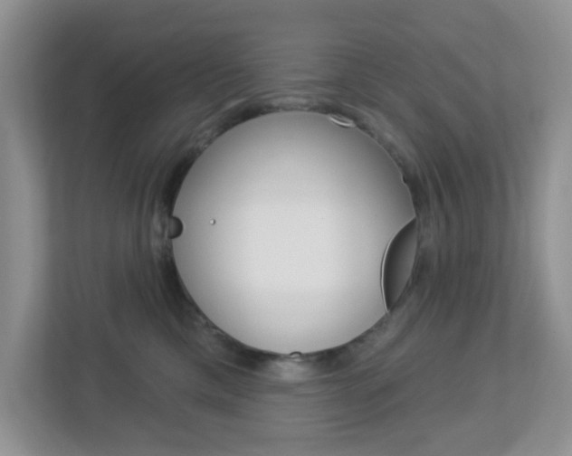 X0000112760425200908201037
