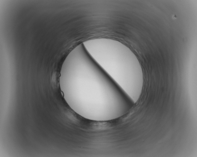 X0000112760428200908201037