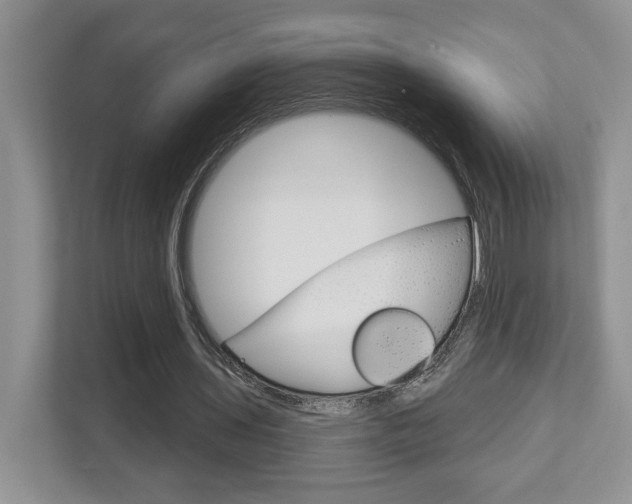 X0000112760435200908201036
