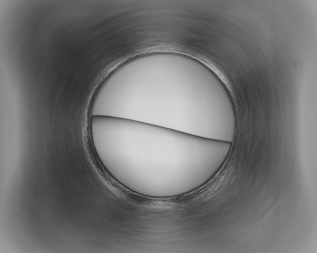 X0000112760437200908201036