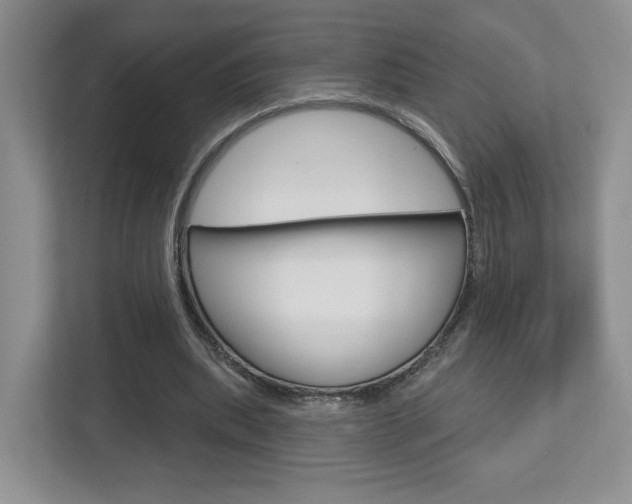 X0000112760439200908201037
