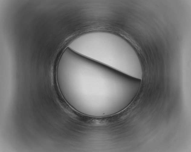 X0000112760442200908201037