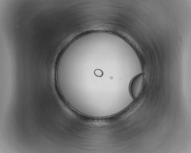 X0000112760445200908201037