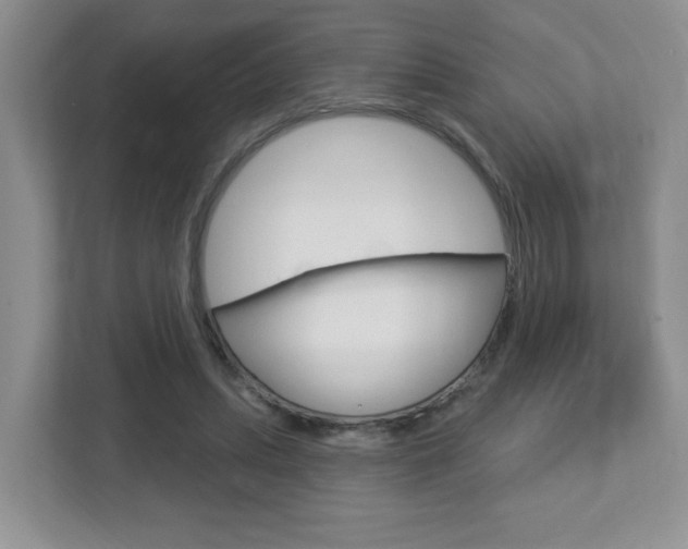 X0000112760447200908201037