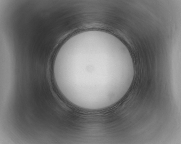 X0000112760448200908201037
