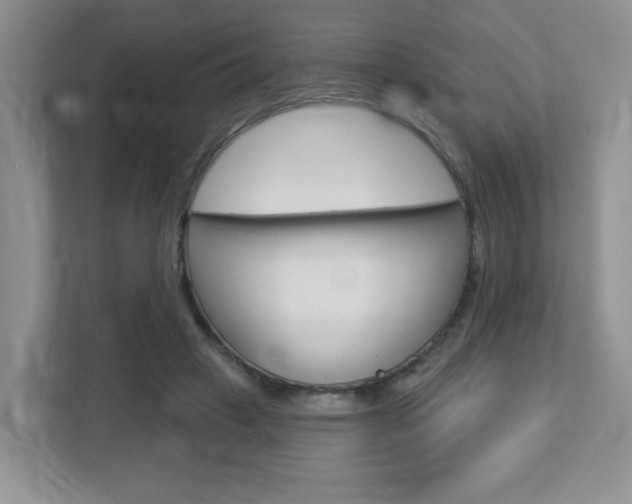 X0000112760449200908201037