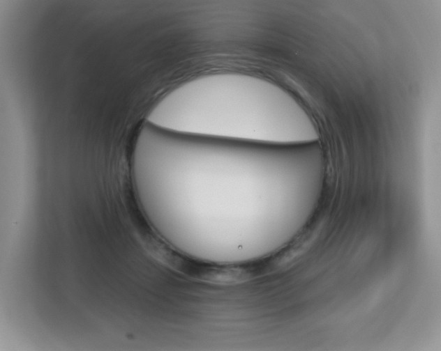 X0000112760459200908201037