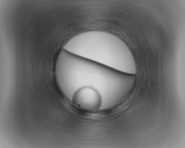 X0000112760466200908201037