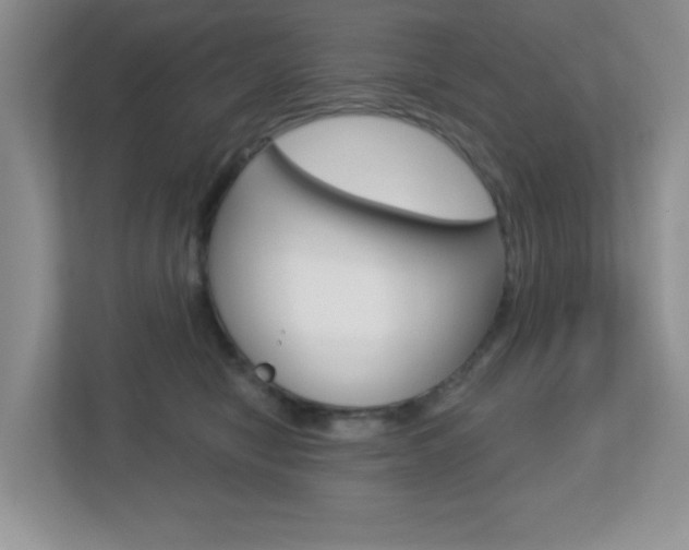 X0000112760470200908201037
