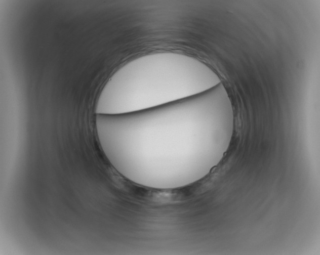 X0000112760473200908201037