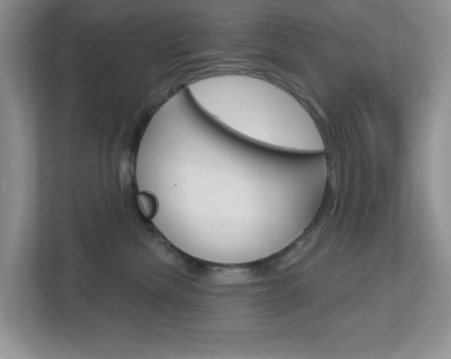 X0000112760476200908201037
