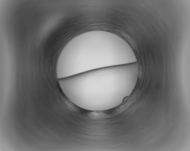 X0000112760477200908201037
