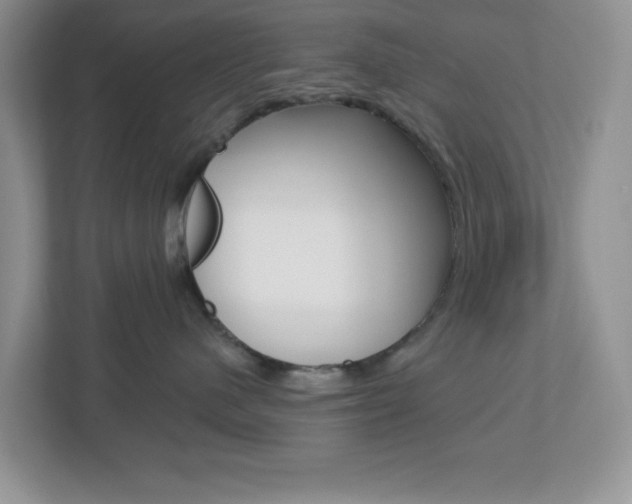 X0000112760480200908201037