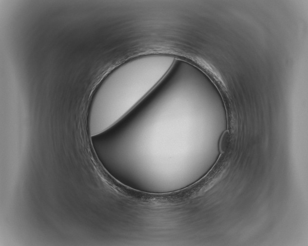 X0000112760481200908201036