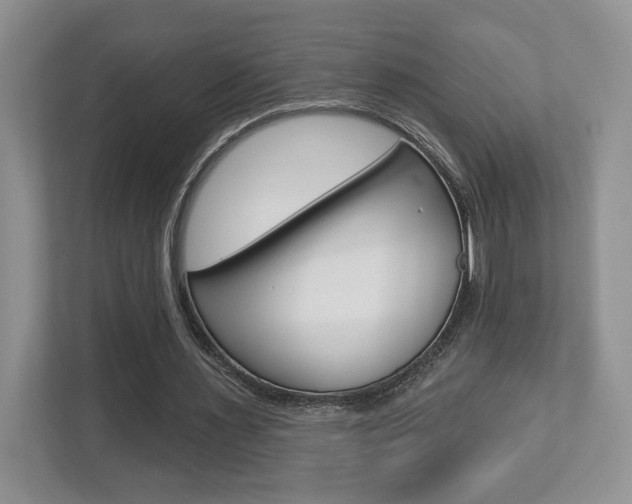 X0000112760483200908201036