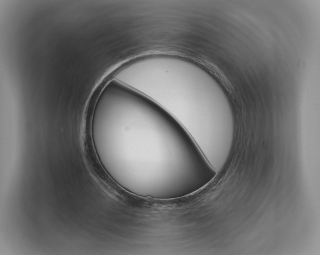 X0000112760484200908201036