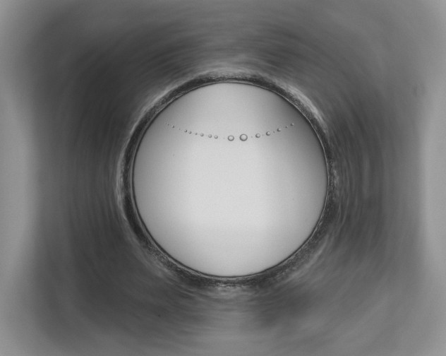 X0000112760487200908201036