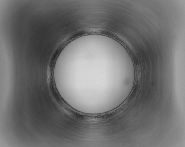 X0000112760494200908201036