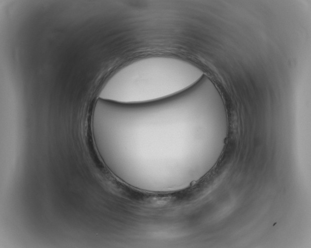 X0000112760495200908201036