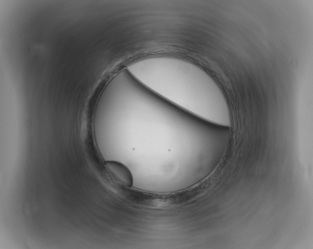 X0000112760496200908201036